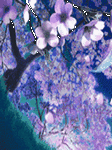 pic for Petals Fall